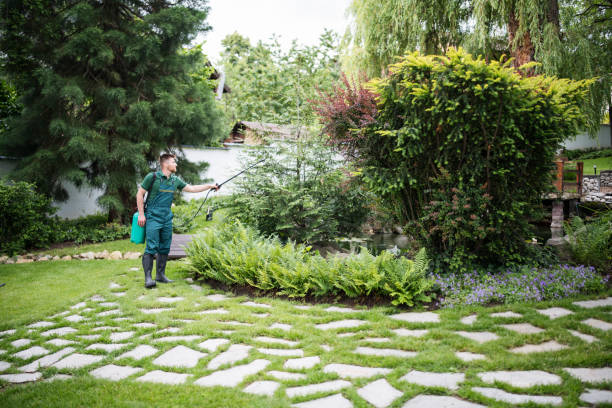 Best Mosquito Control Services  in Fort Walton Beach, FL